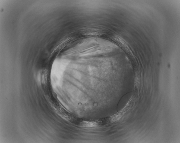 X0000087050167200705091144