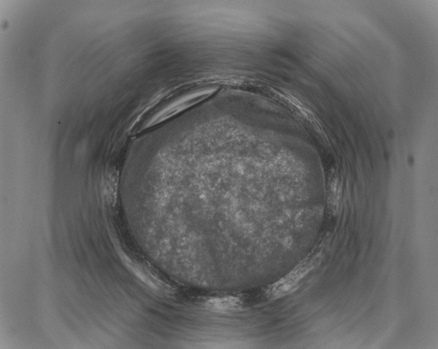 X0000087050168200705091144