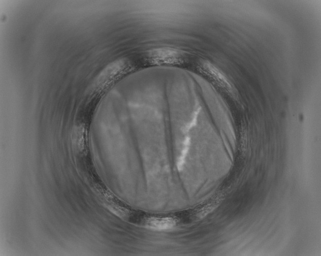 X0000087050169200705091144