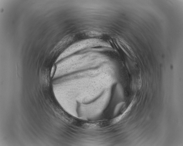 X0000087050170200705091144