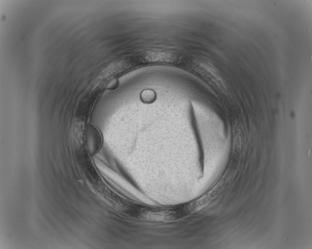 X0000087050171200705091144