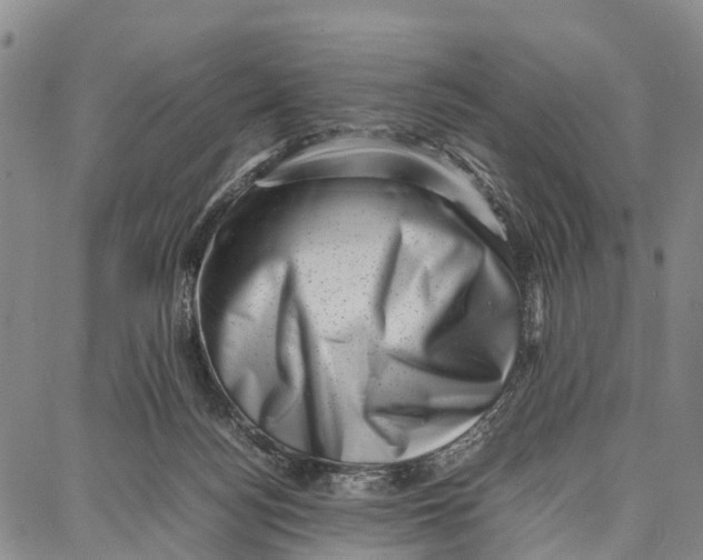 X0000087050172200705091144