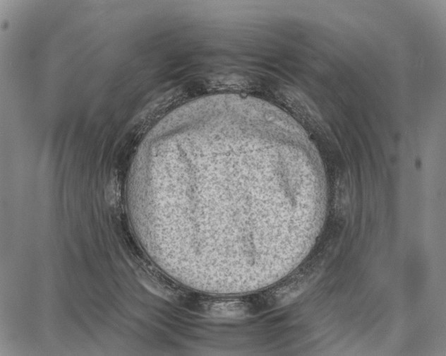 X0000087050173200705091144