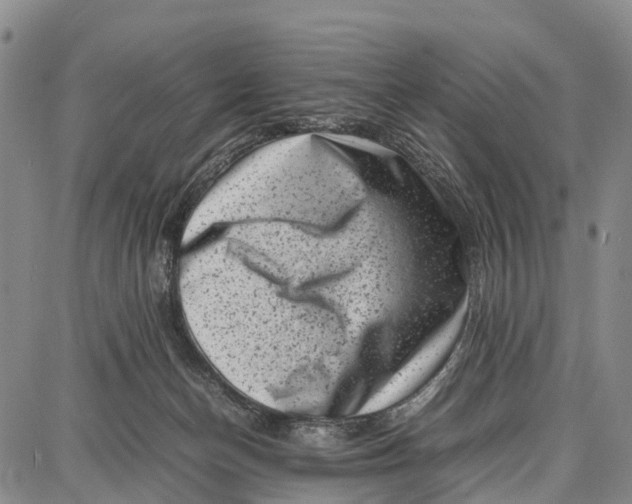 X0000087050174200705091144