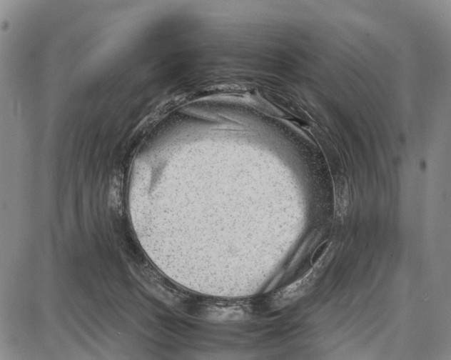 X0000087050175200705091144