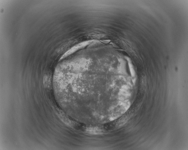 X0000087050177200705091145