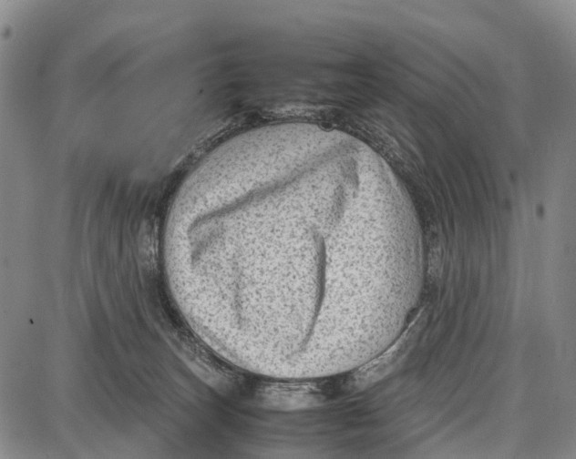 X0000087050179200705091145