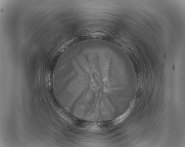 X0000087050182200705091145