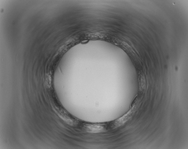 X0000087050183200705091145