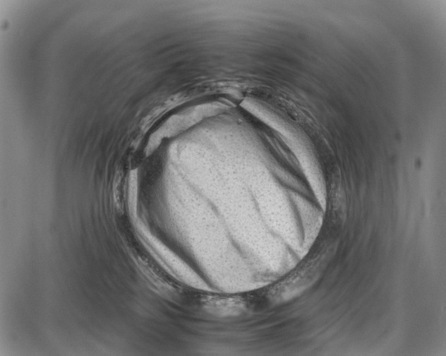 X0000087050185200705091145