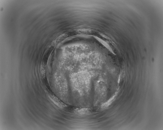 X0000087050186200705091145