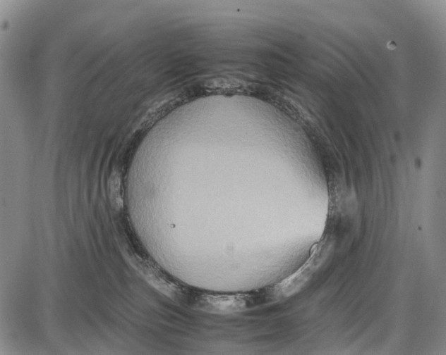 X0000087050187200705091145