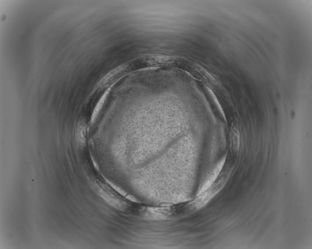 X0000087050188200705091145