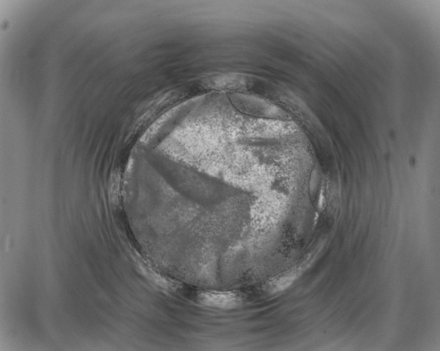 X0000087050189200705091145