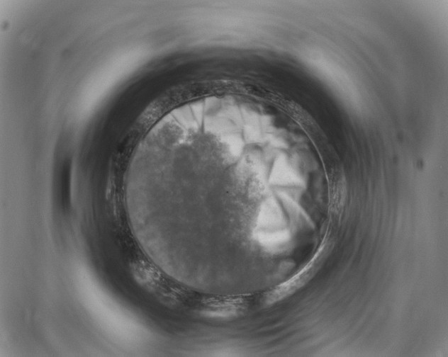 X0000087050191200705091145