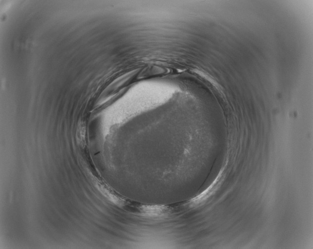 X0000087050192200705091145