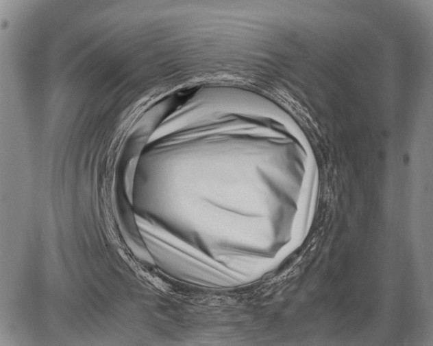 X0000087050193200705091144