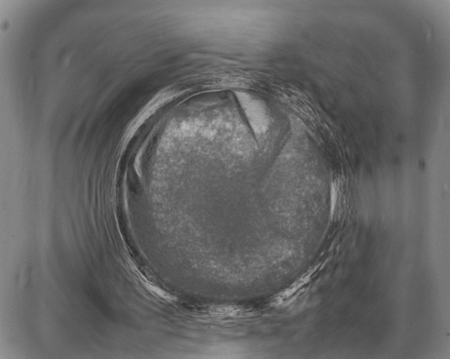 X0000087050195200705091144