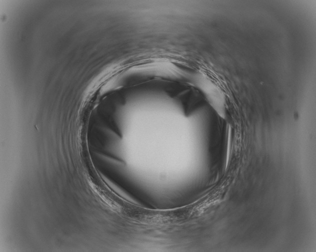 X0000087050197200705091144