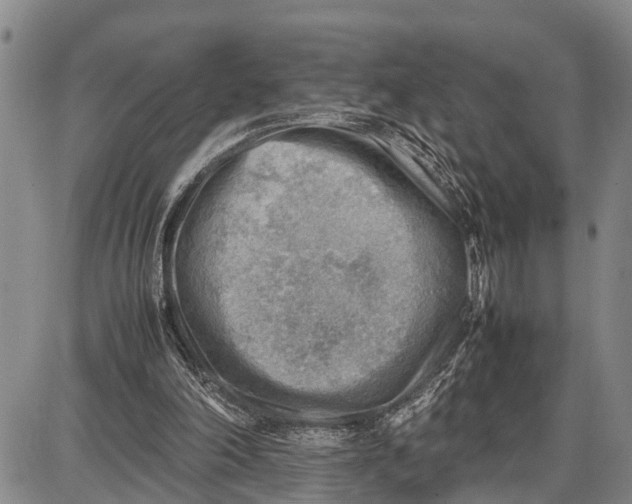 X0000087050198200705091144