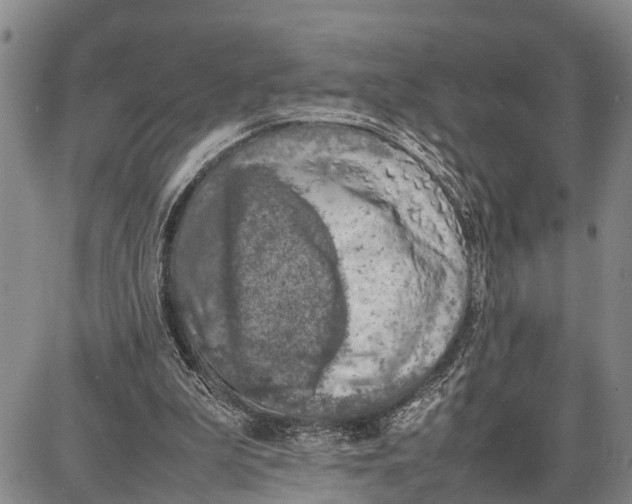 X0000087050199200705091144