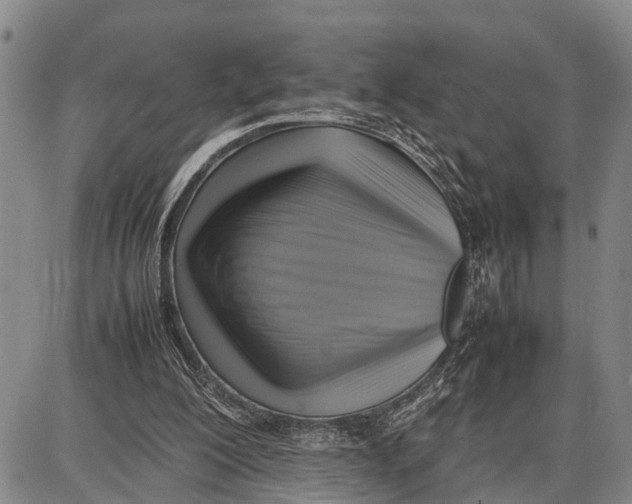 X0000087050200200705091144