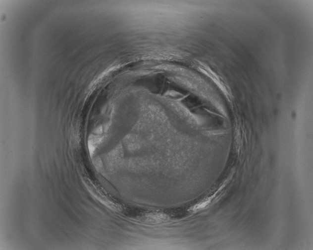 X0000087050203200705091144