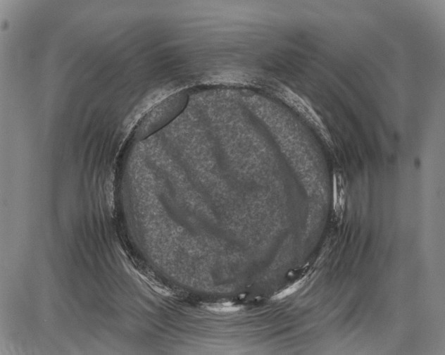 X0000087050204200705091144