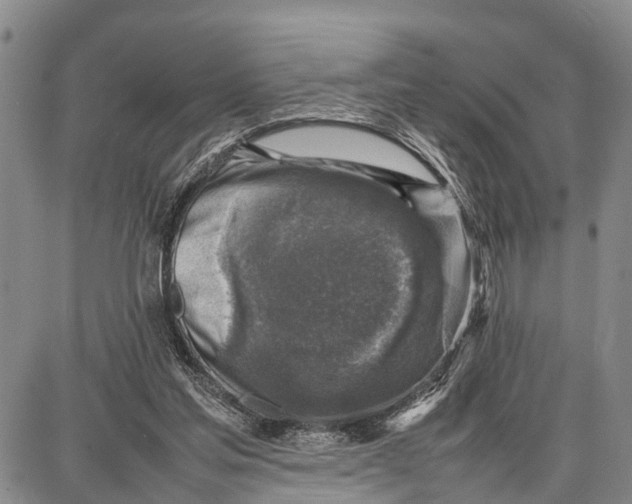 X0000087050205200705091144