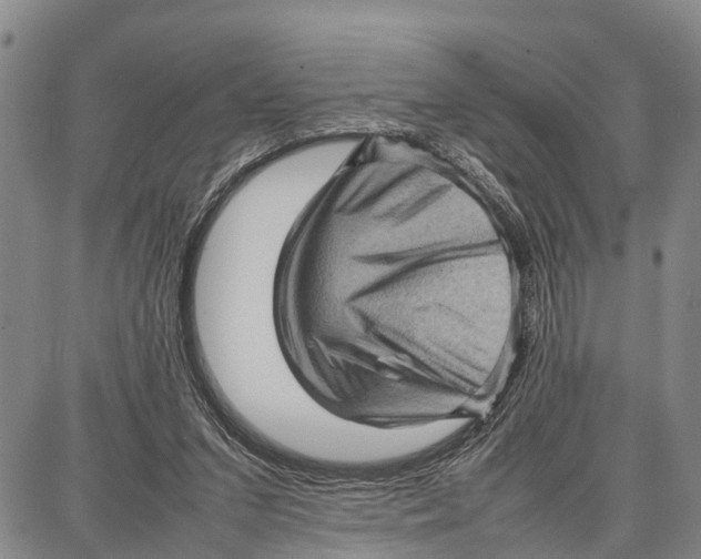 X0000087050207200705091144