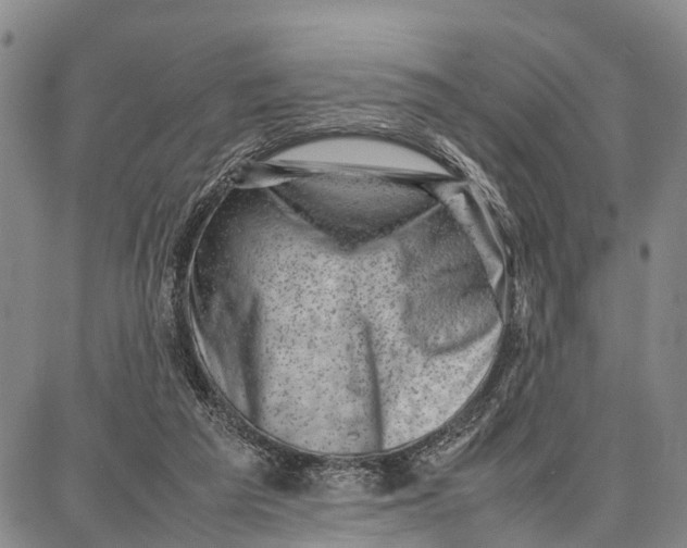 X0000087050209200705091144