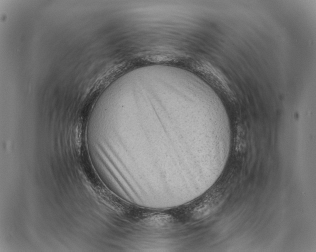 X0000087050210200705091144