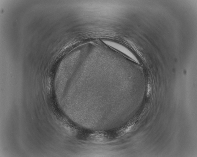 X0000087050211200705091144