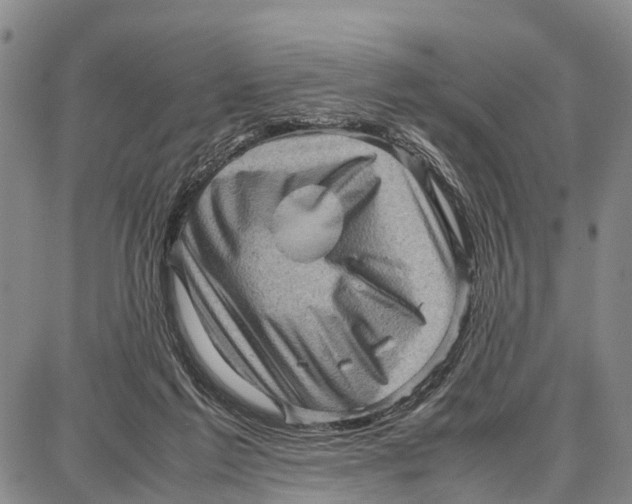 X0000087050213200705091144