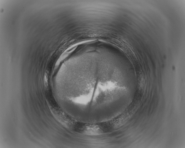 X0000087050214200705091144