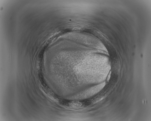 X0000087050215200705091144