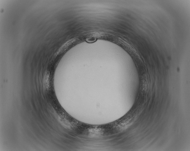 X0000087050216200705091144