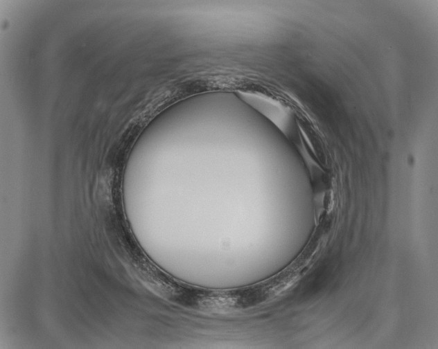 X0000087050217200705091144