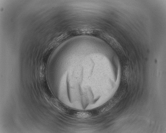 X0000087050218200705091144