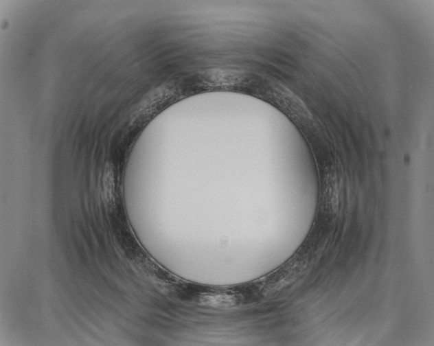 X0000087050220200705091144