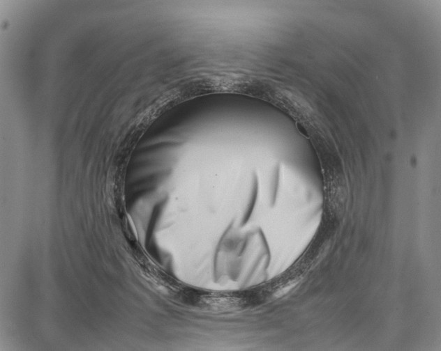 X0000087050221200705091144