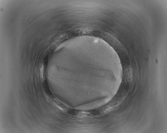 X0000087050222200705091144