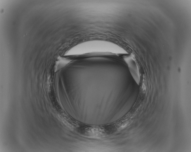 X0000087050223200705091143