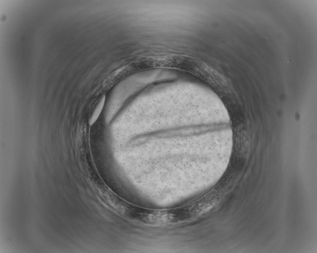 X0000087050225200705091143