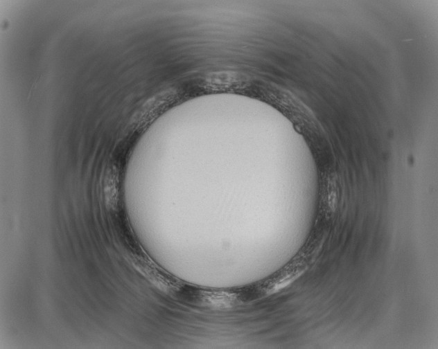 X0000087050226200705091143