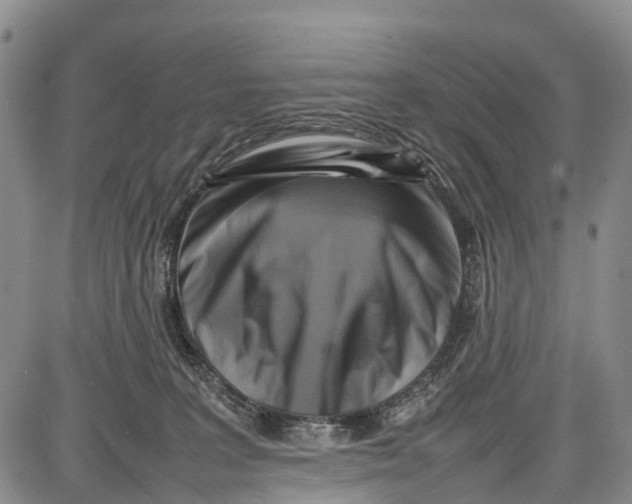 X0000087050227200705091143