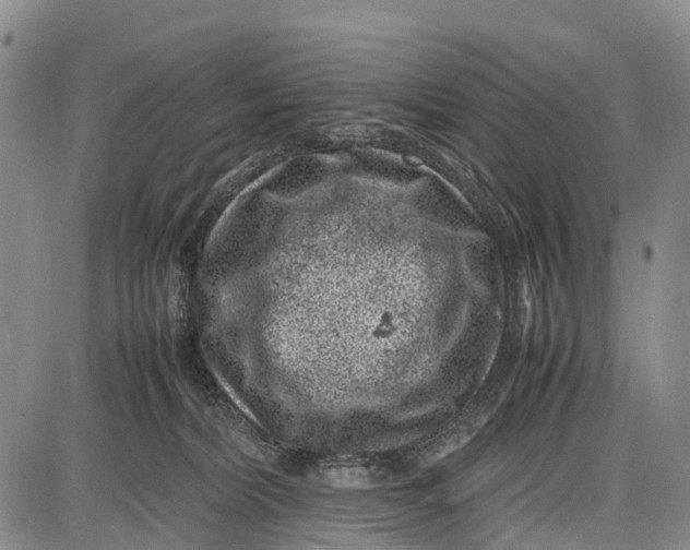 X0000087050228200705091143