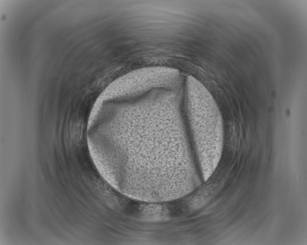 X0000087050230200705091143