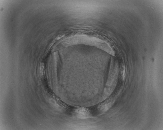 X0000087050231200705091143