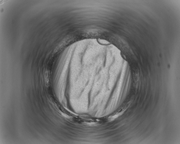 X0000087050232200705091143